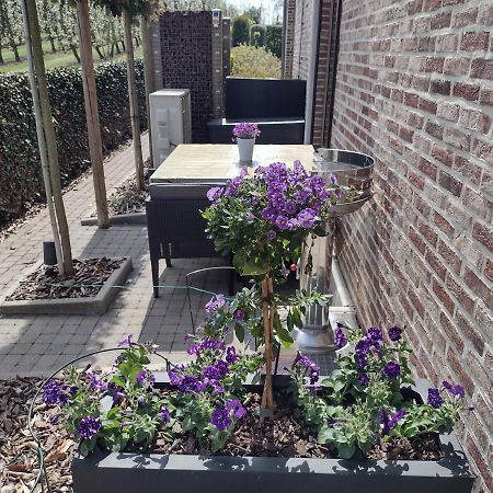 Hasbania Vakantiewoning Gingelom Exterior foto